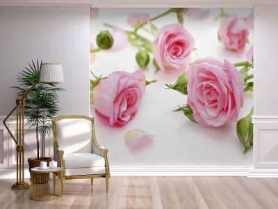 Фотообои Розы и лепестки ( код: 1040 ) Фотообои Розы и лепестки
