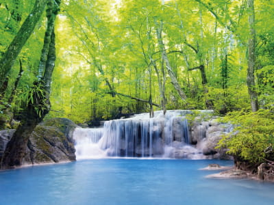 Фотообои Природа лес водопад
