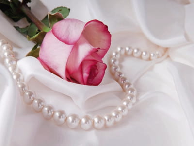 Фотошпалери Троянда і перли