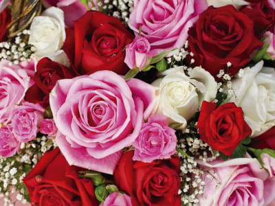 Фотообои Великолепный букет роз
