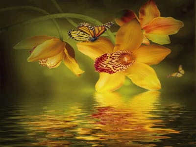 Фотошпалери Жовта орхідея