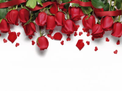 Фотообои Красивые красные розы