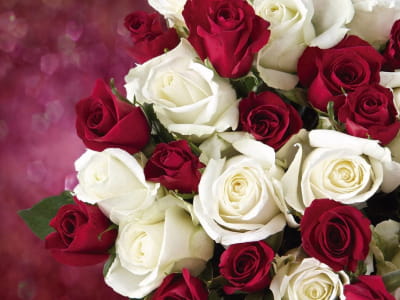 Фотообои Нежный букет роз