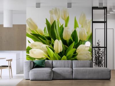 Фотообои Белые тюльпаны