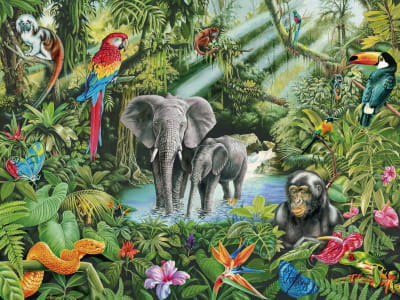 Фотообои Тропические животные