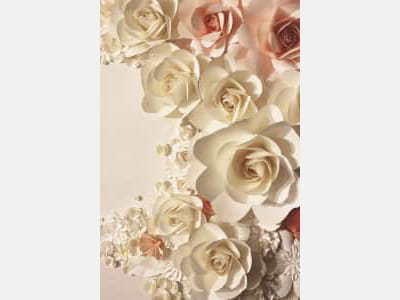 Фотошпалери Об'ємні троянди