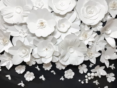 Фотообои Белые цветы 3Д