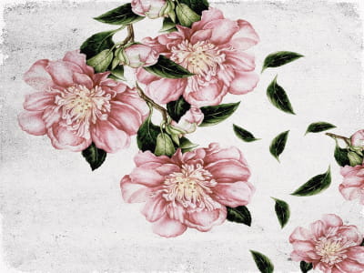 Фотошпалери Розкішні рожеві квіти
