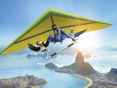 Фотообои Полёт над Рио