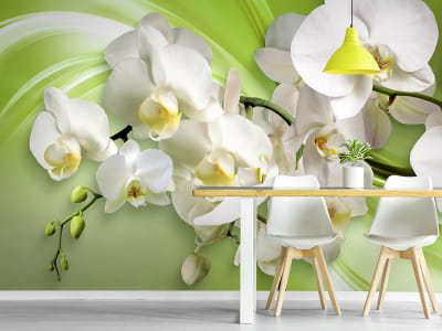 Фотообои Орхидеи на зелёном фоне