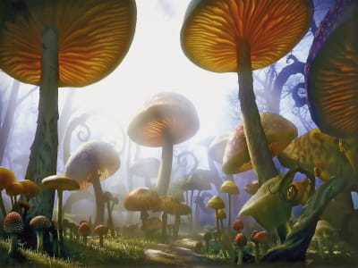 Фотообои Гигантские грибы