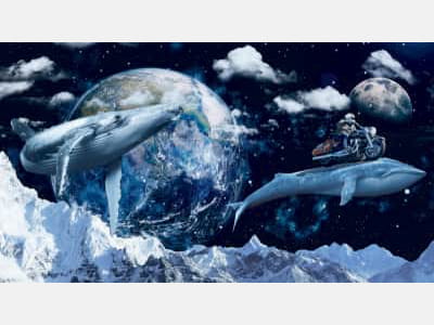 Фотошпалери Космічні кити