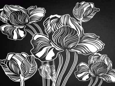 Фотошпалери Квіти на чорному тлі