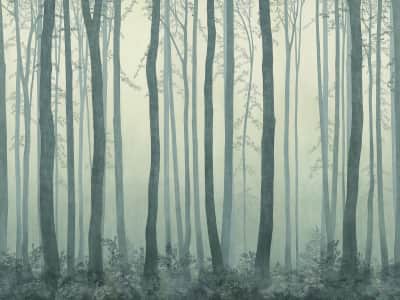 Фотообои Зелёный лес в тумане