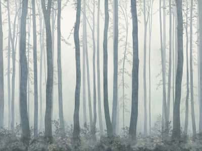 Фотообои Густий туман у лісі