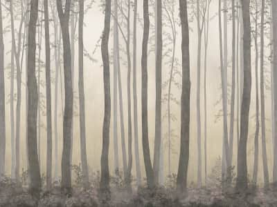 Фотообои Вечер в туманном лесу