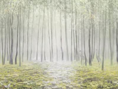 Фотообои Весенний лес в тумане
