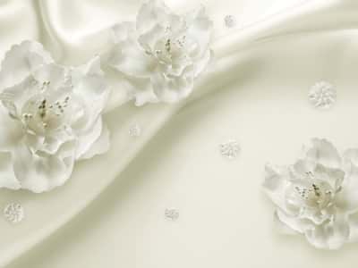 Фотошпалери Елегантні білі квіти 3Д