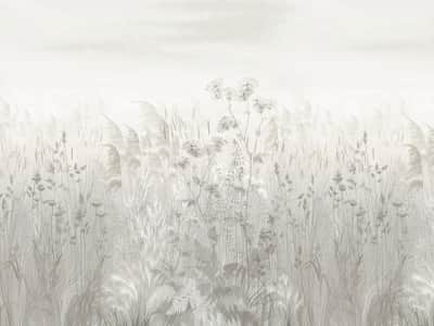 Фотообои Польові квіти у тумані