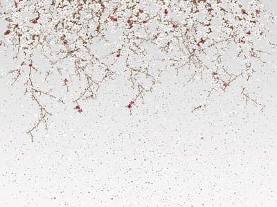 Фотообои Цветущая вишня рисунок