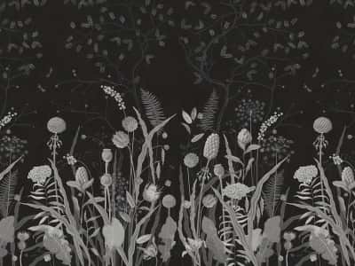 Фотообои Чорно-білі польові квіти
