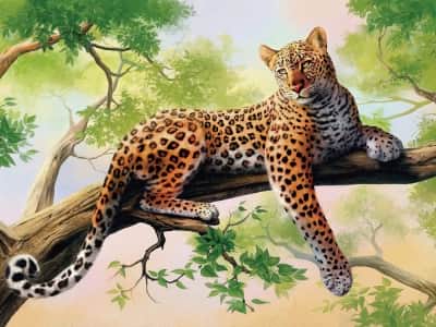 Фотообои Пятнистый леопард на дереве
