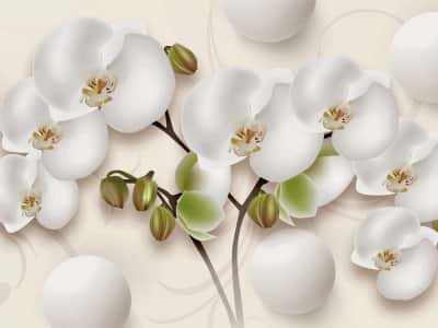 Фотошпалери Біла орхідея та сфери