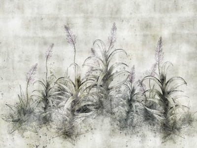 Фотообои Цветение агавы