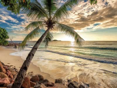 Фотообои Закат над тропическим пляжем