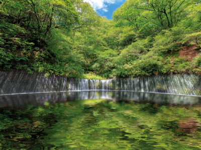 Фотообои Водопад Шираито