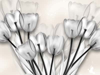 Фотошпалери Кришталеві тюльпани