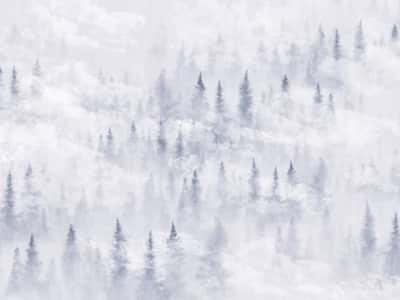 Фотообои Туман у сосновому лісі