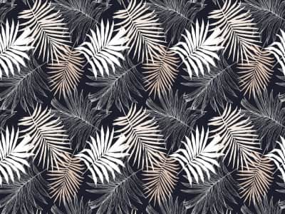 Фотошпалери Сухі пальмове листя