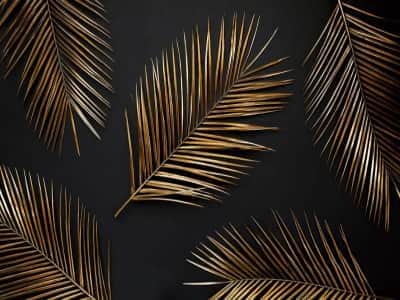 Фотообои Золотые листья пальмы