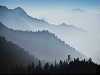 Фотообои Туман в горной долине