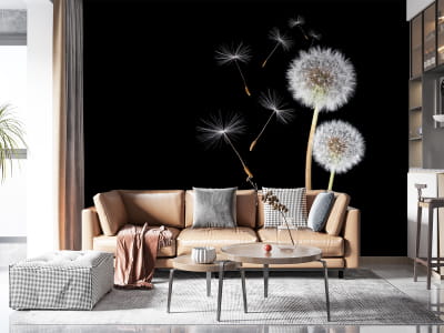 Фотообои Пара белых одуванчиков