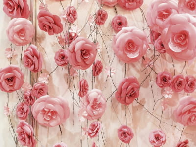 Фотообои Стіна з пудрових троянд