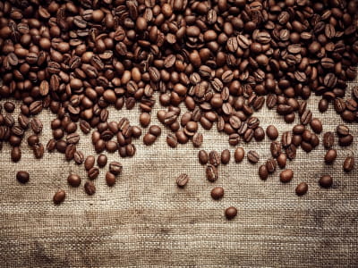 Фотообои Шоколадные кофейные зерна