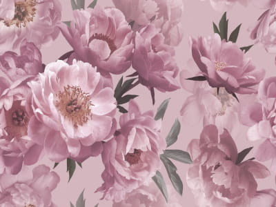 Фотообои Нежно-розовые пионы