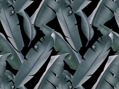 Фотообои Тёмные банановые листья