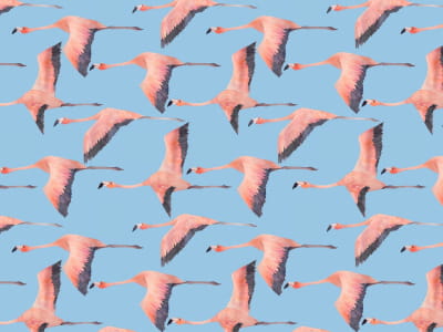 Фотообои Летящие фламинго