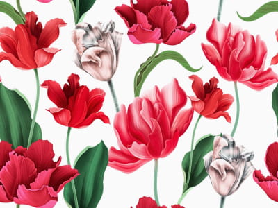 Фотообои Пышные красные тюльпаны