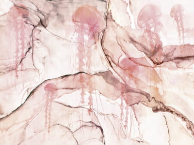 Фотообои Розовые медузы