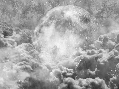 Фотообои Ночная луна
