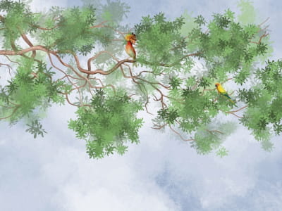 Фотообои Рисунок ветки деревьев