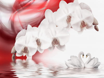 Фотошпалери Гілка орхідеї 3Д