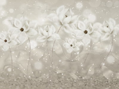 Фотообои Холодные цветы