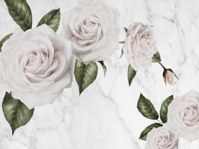 Фотообои Красивые нежные розы