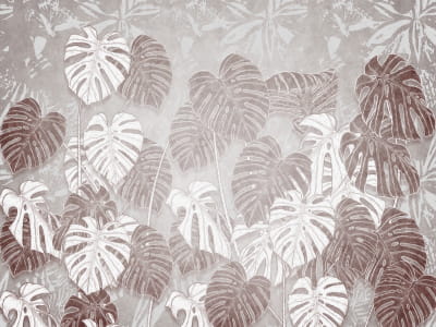 Фотообои Тропические листья монстеры