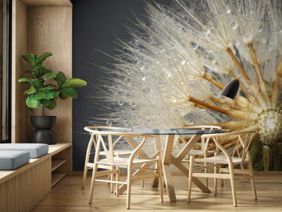 Фотообои Одуванчики макро